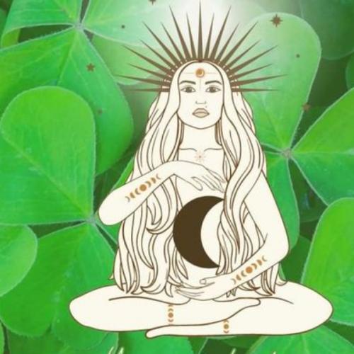 สมาชิกหมายเลข 5006504