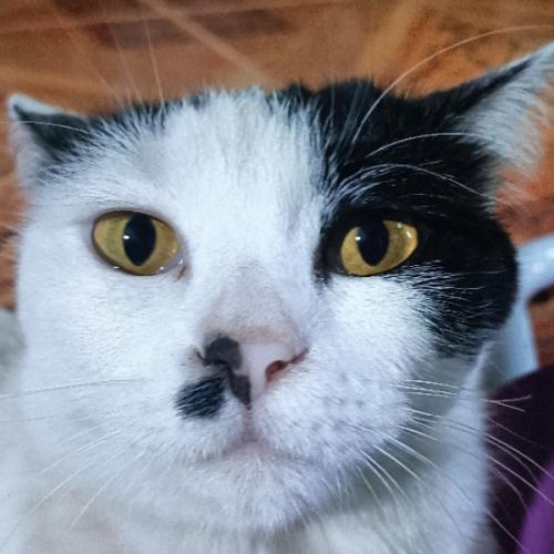 สมาชิกหมายเลข 7875730