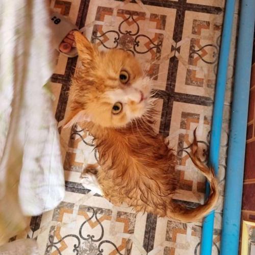 สมาชิกหมายเลข 5427055