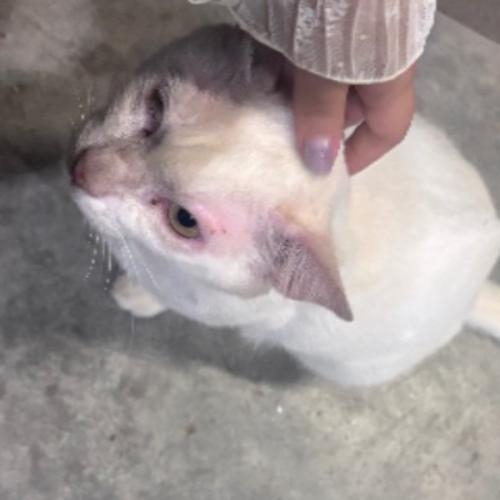 สมาชิกหมายเลข 6599126