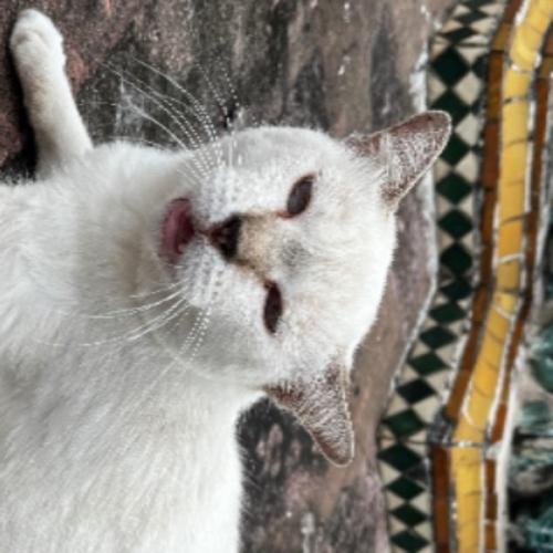 สมาชิกหมายเลข 8254349