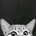 สมาชิกหมายเลข 1585120