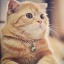 สมาชิกหมายเลข 3818603