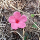 สมาชิกหมายเลข 4664913