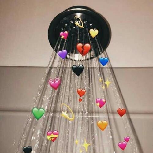 สมาชิกหมายเลข 5028081