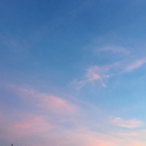 สมาชิกหมายเลข 3825972