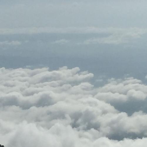 สมาชิกหมายเลข 4482256