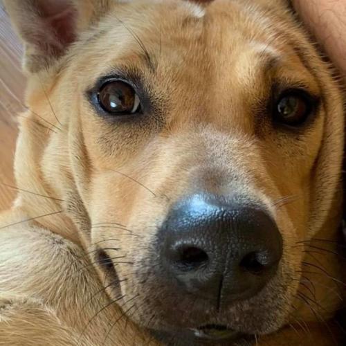 สมาชิกหมายเลข 4336927