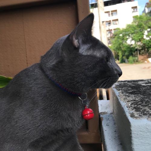 เปรตเวหา