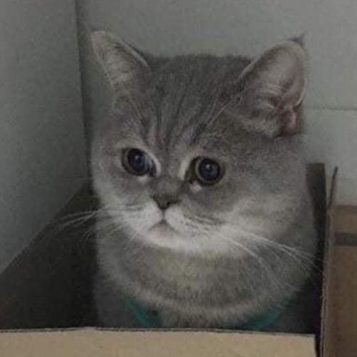 สมาชิกหมายเลข 5033293