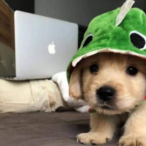 สมาชิกหมายเลข 6537210