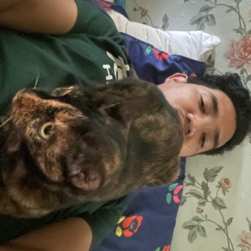 สมาชิกหมายเลข 1977104