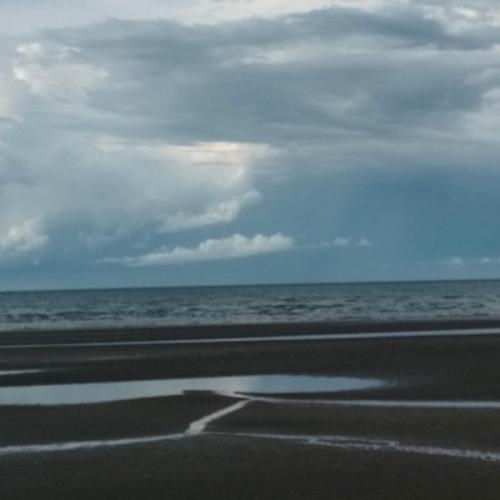 สมาชิกหมายเลข 5493737