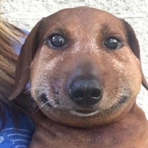 สมาชิกหมายเลข 8740194