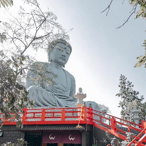 สมาชิกหมายเลข 9088072