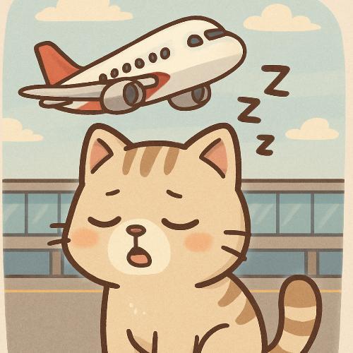 สมาชิกหมายเลข 9098289