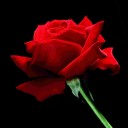 สมาชิกหมายเลข 4184677