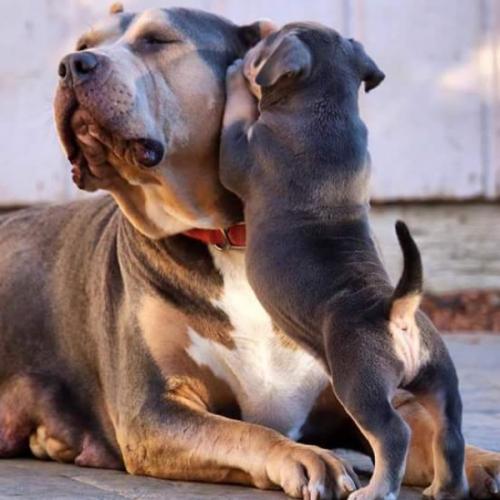 สมาชิกหมายเลข 1702632