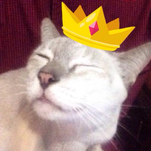 สมาชิกหมายเลข 4661762