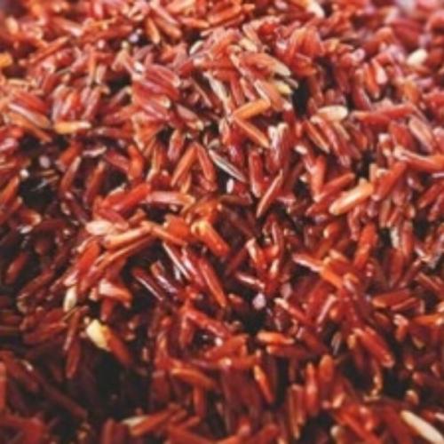 ชอบชีวจิต