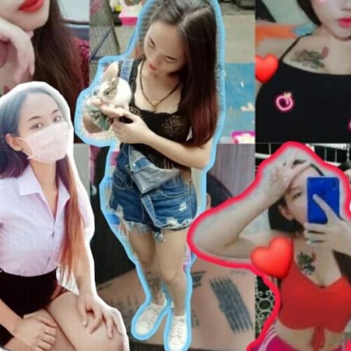 สมาชิกหมายเลข 6262456