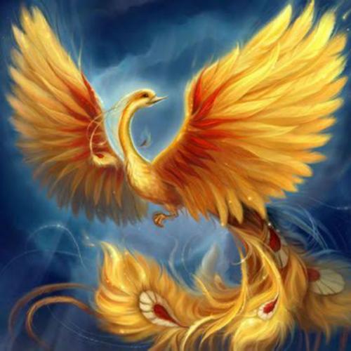 สมาชิกหมายเลข 6537821