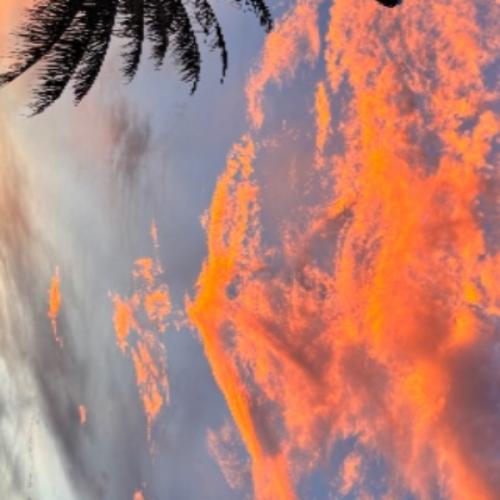 สมาชิกหมายเลข 2229773