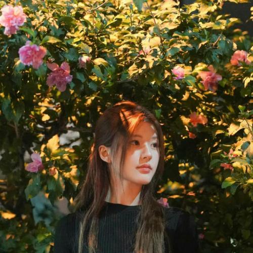 สมาชิกหมายเลข 8433794