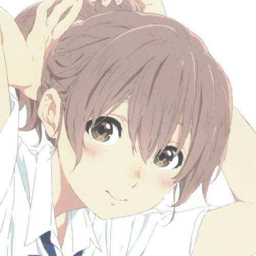 สมาชิกหมายเลข 9097541