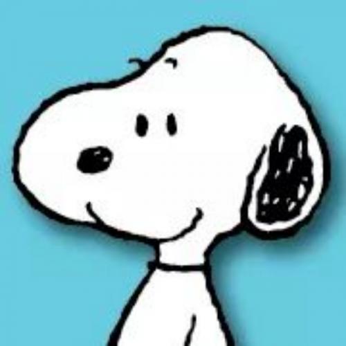 สมาชิกหมายเลข 4665720