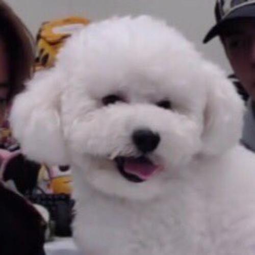 สมาชิกหมายเลข 1148643