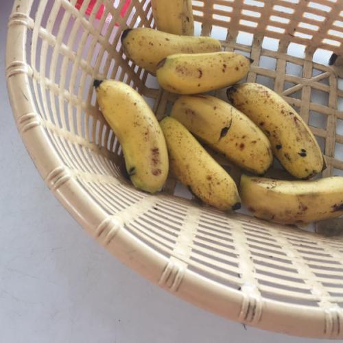 สมาชิกหมายเลข 1950799