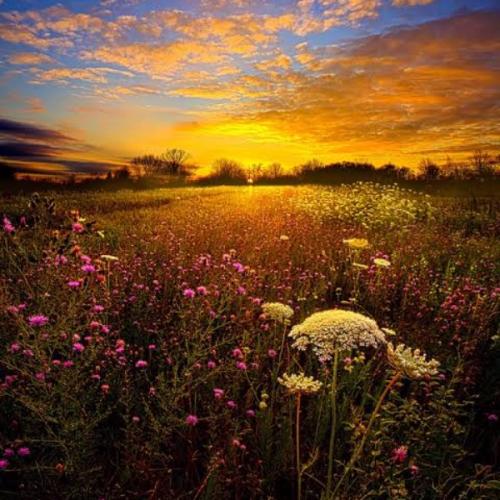 สมาชิกหมายเลข 5819738