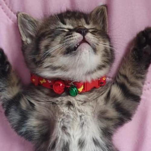 สมาชิกหมายเลข 5934571