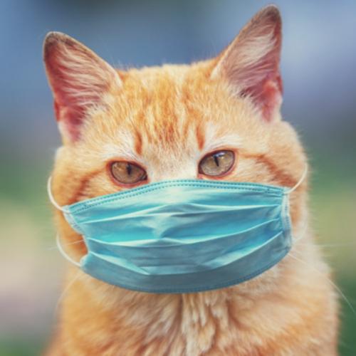 สมาชิกหมายเลข 5194705