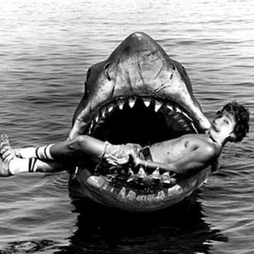 สมาชิกหมายเลข 5168729