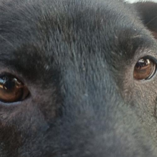 สมาชิกหมายเลข 5137605