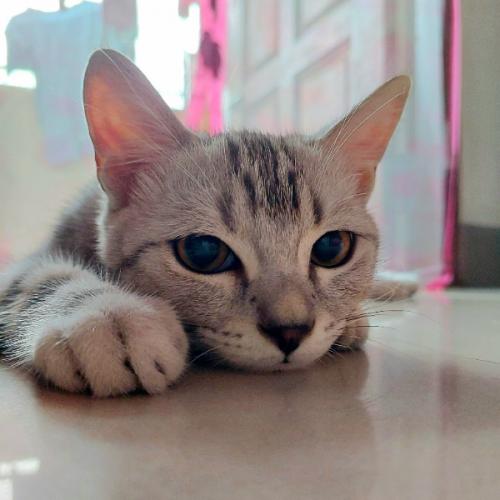 สมาชิกหมายเลข 7419186