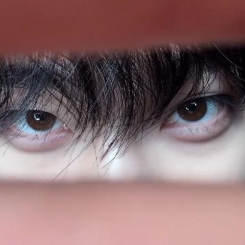 สมาชิกหมายเลข 8217607