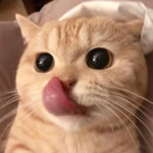 สมาชิกหมายเลข 839111