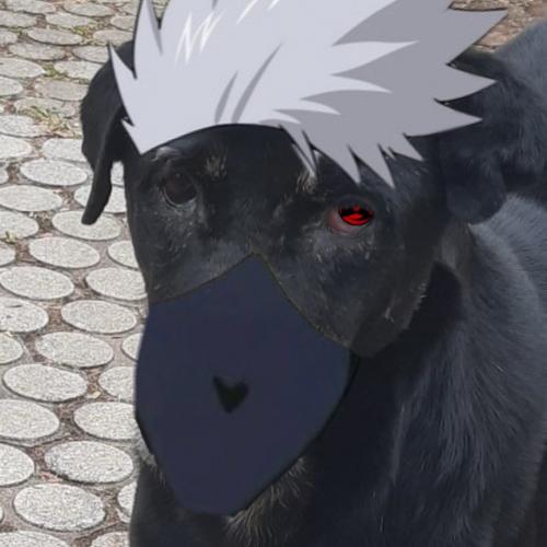 สมาชิกหมายเลข 8423199