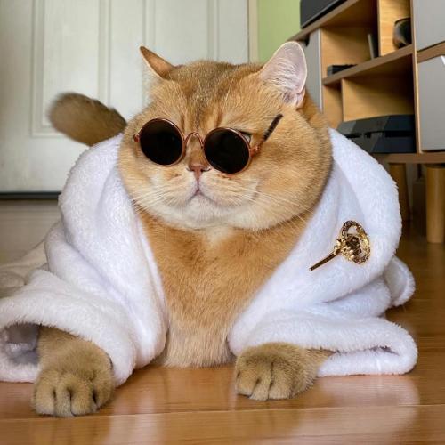 สมาชิกหมายเลข 9100431