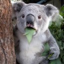 สมาชิกหมายเลข 2308572