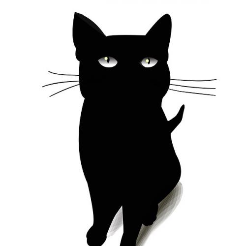 สมาชิกหมายเลข 4666239