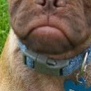 สมาชิกหมายเลข 5006518