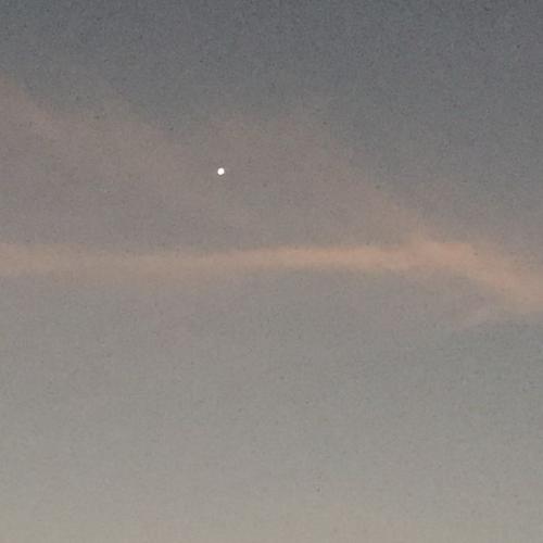 สมาชิกหมายเลข 5029329