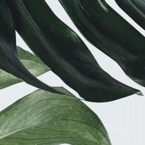 สมาชิกหมายเลข 1415402