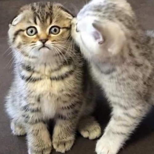 สมาชิกหมายเลข 5049951