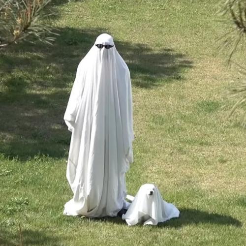 สมาชิกหมายเลข 5933625