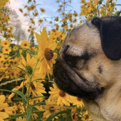 สมาชิกหมายเลข 5935290